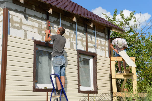 Best Insulated Siding Installation  in Aetna Estates, CO