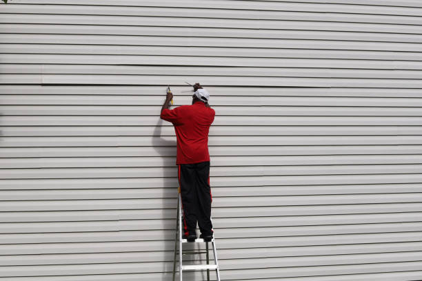 Best Custom Trim and Detailing for Siding  in Aetna Estates, CO